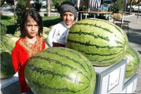 Diyarbakır Karpuz festivali