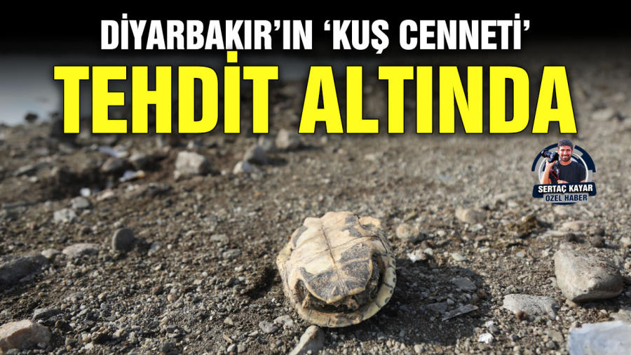 Diyarbakır’ın ‘Kuş Cenneti’ tehdit altında